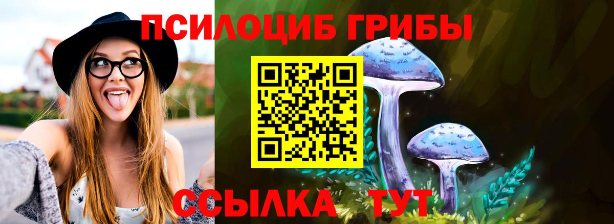 Псилоцибиновые грибы Cubensis  Вход с VPN  Ивантеевка 